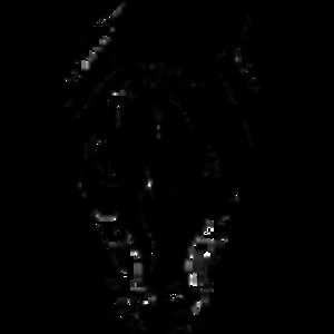 Meet your Posher, Alanna